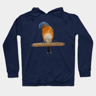 Flower Peeping Eastern Bluebird Hoodie